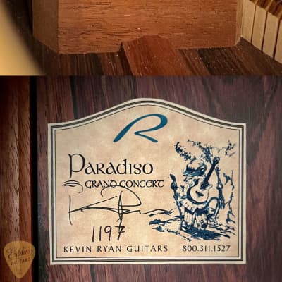 Kevin Ryan Paradiso Grand Concert - Adirondack Spruce & Honduran Rosewood image 24
