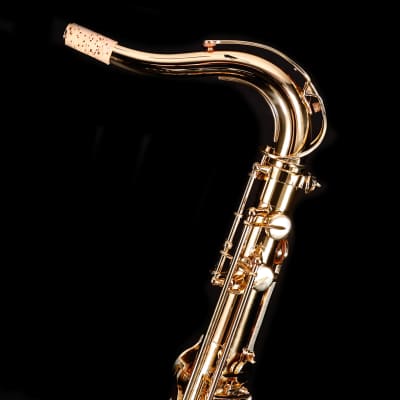 Selmer STS411 Step-Up Tenor Saxophone Outfit-Lacquer image 9