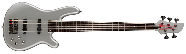 Fernandes Gravity 5 Deluxe Bass Guitar - Pewter | Reverb