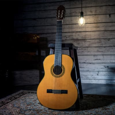 Washburn C40 Classical Nylon Guitar Natural image 3