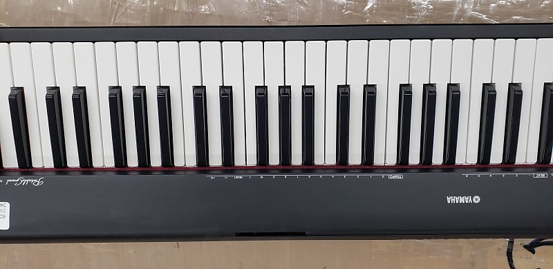 Yamaha Portable Grand NP-30 STAND INCLUDED | Reverb