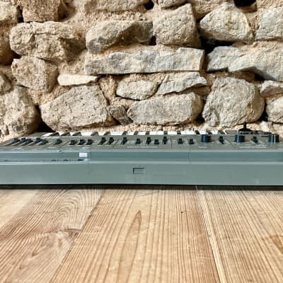genuine grey Roland SH-101 with MGS-1 modulation grip / SH101 image 10