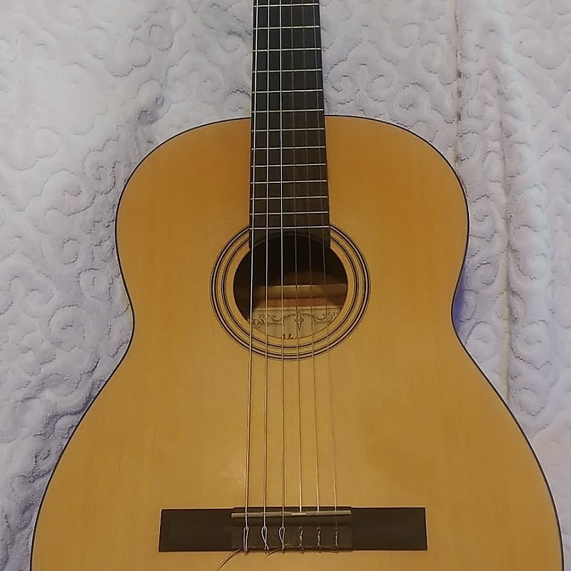 Alvarez Regent RC12 Classical Acoustic Guitar w/custom Alvarez case image 1