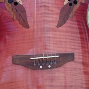 Ovation Celebrity Deluxe cc268 オベーション Ovation Celebrity Deluxe cc268 オベーション Ovation