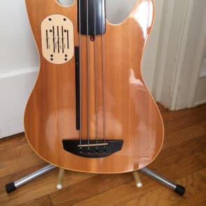 Godin L.R. Baggs Model Fretless Acoustibass Early 1990's Natural Price Drop 2! image 2