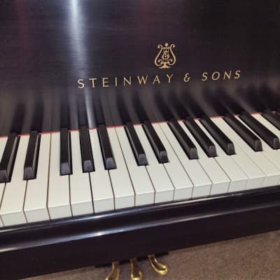 Steinway Model L Grand Piano image 3