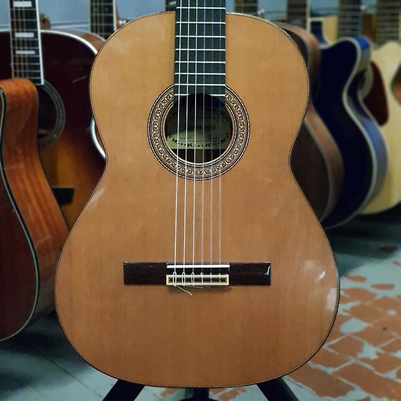 Raimundo mod 130 professore reverb