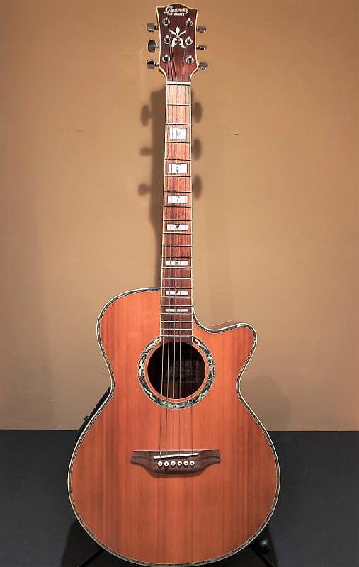 Ibanez Performance 1986 - Natural- Unique/Perhaps one of a Kind image 1