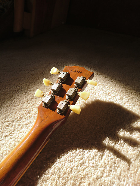 Bacchus Live Road Goldtop | Reverb Bacchus Live Road Goldtop | Reverb