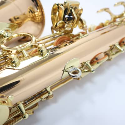 Freeshipping! Yanagisawa A-WO2[AW02] Professional Alto Saxophone image 18