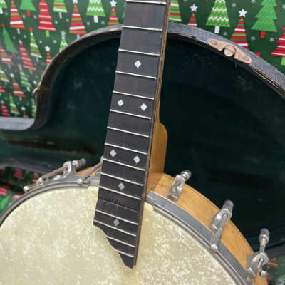 Banjomandolin Banjo mandolin 1920 image 3