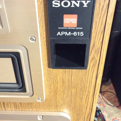 Sony store apm 615