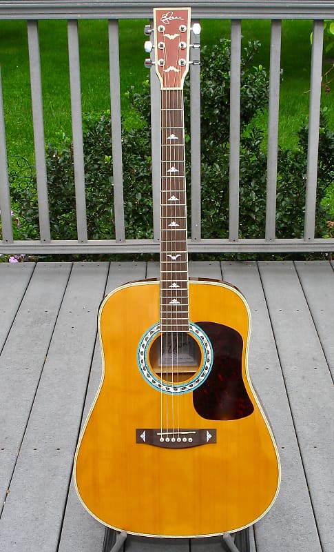 American legacy deals acoustic electric guitar