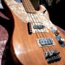 Ampeg Big Stud GEB 750 Natural Bass Owned by Tennis