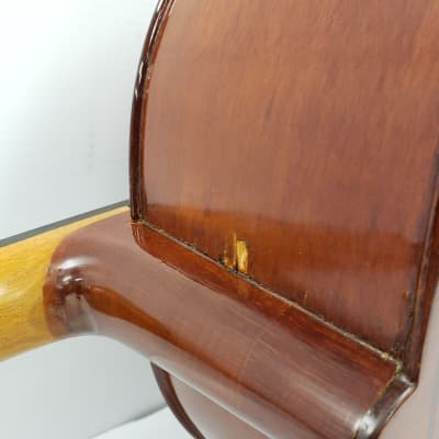 Strunal Schoenbach Cello image 4