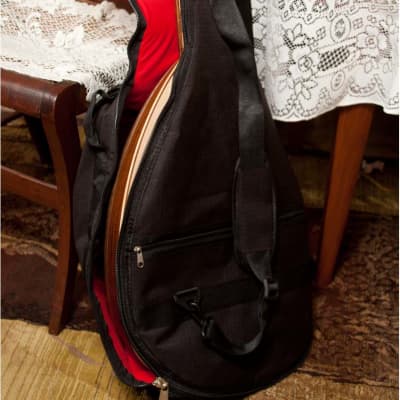 Mid-East OUDRT Turkish Oud Sheesham w/Gig Bag, Pick & Owner's Guide image 9