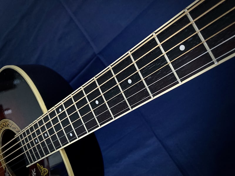 【トップ単板】Morris モーリス TORNADO GXD トップ単板】Morris モーリス TORNADO GXD