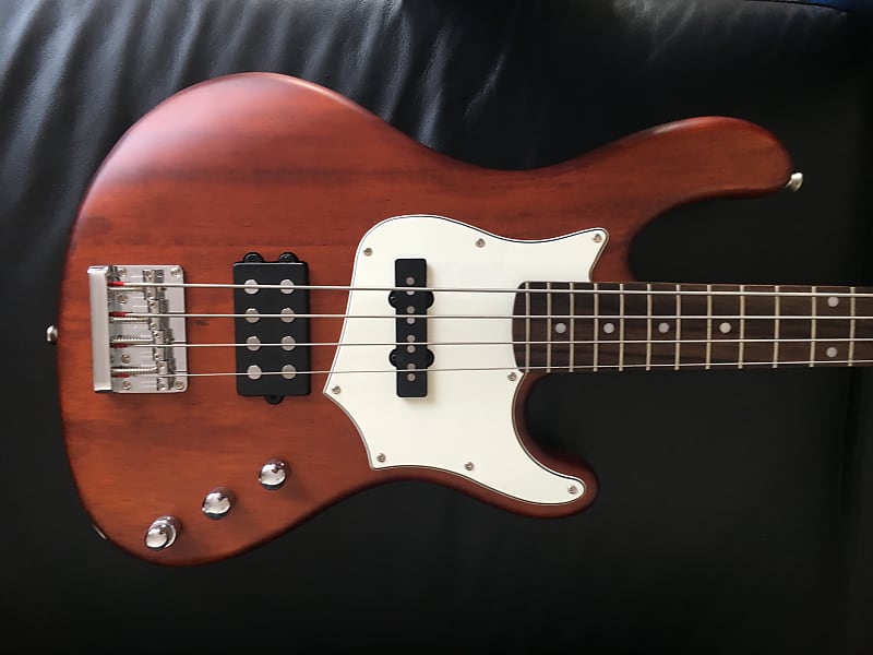 Cort GB34A Bass Guitar Brand New | Reverb