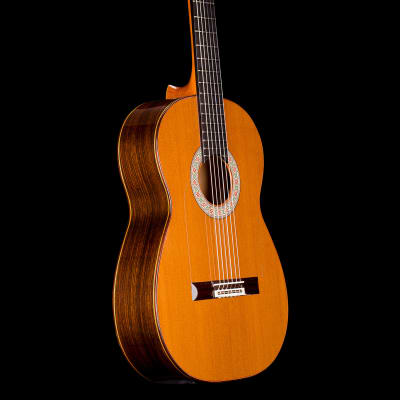 Graciliano Perez flamenco guitar “mixed earth” 2024 image 5