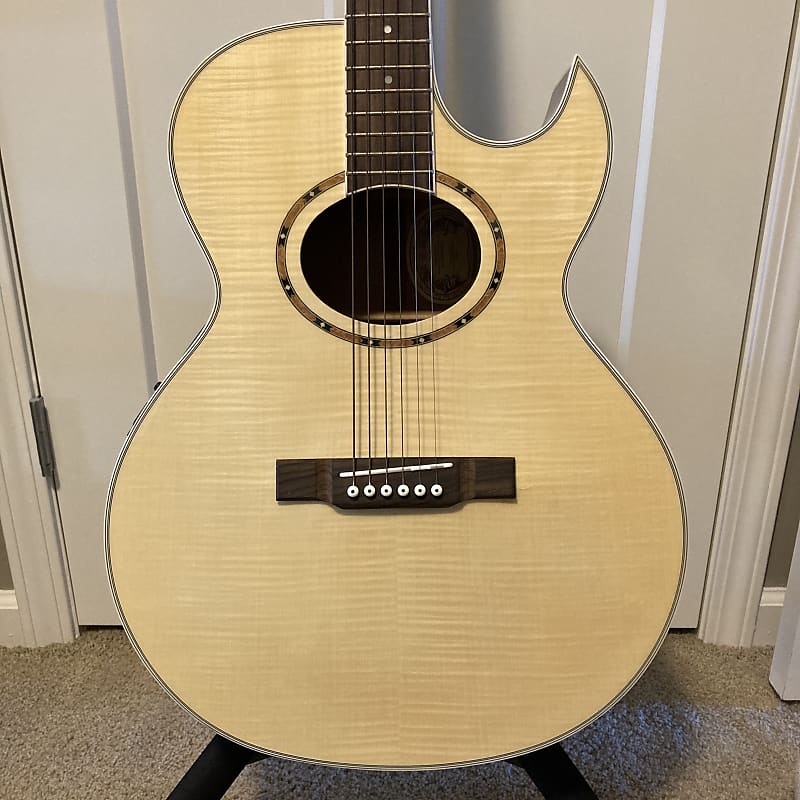 Washburn ea9f cheap
