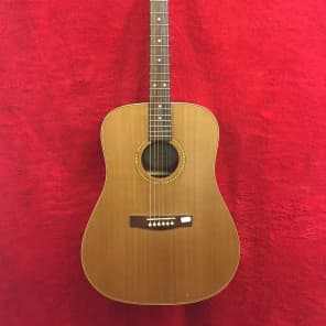 フェンダー　DG25S NS / アコースティックギター Fender DG25S Nat USED - Blues Angel Music