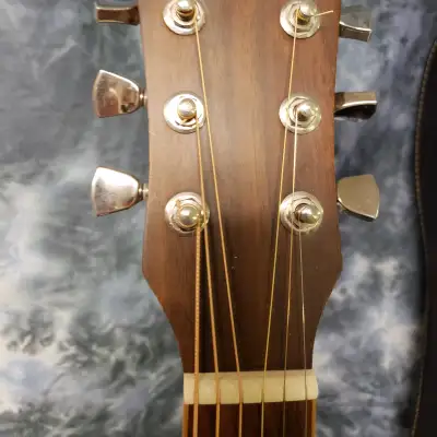 2011 Fina Model FAW-1216M Dreadnought Exotic Woods Pro Setup