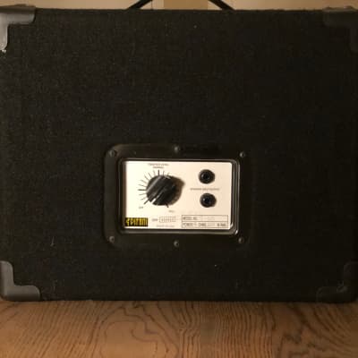 Epifani T-110 EARLY VERSION! | Reverb