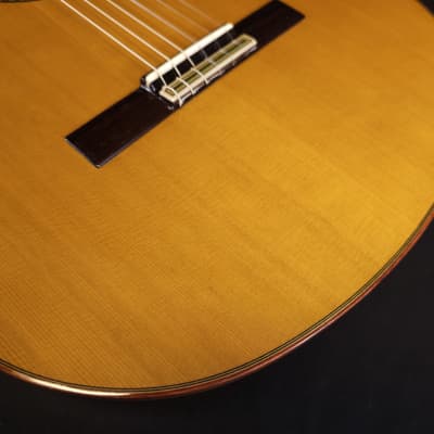 Alhambra Premier Pro Madagascar Javier Mengual Classical Guitar w/Hard Cse image 12