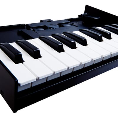 K-25M Roland Boutique Roland image 1
