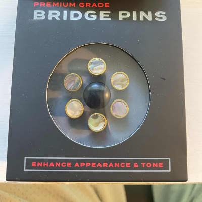 D'Andrea Tone Pins Brass Bridge Pin Set Abalone image 1
