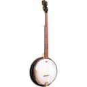 Gold Tone AC-5 5-String Closed Back Banjo with bag