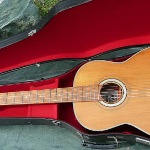 Yamaha dynamic deals guitar no 20