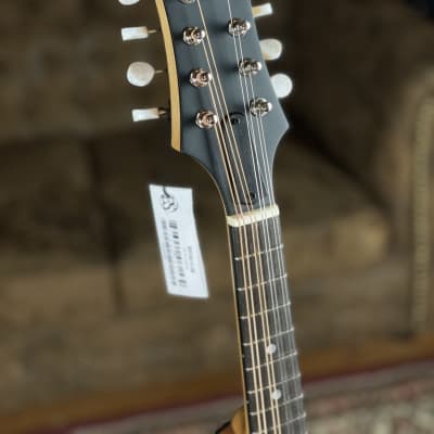 Eastman PCH-M104 Classic - Mandoline incl. Gigbag - NEW image 2