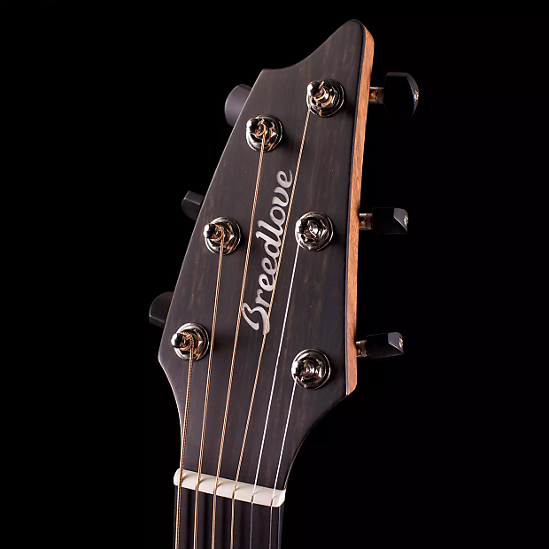 Breedlove Premier Concert Rosewood Acoustic-Electric Guitar image 4
