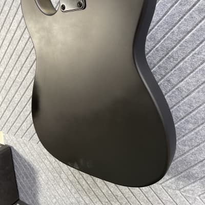 Harley Benton TE-20HH SBK SkunkWerx Top Seller Satin Black The Better Benton Includes In-USA Fret Dress and Setup! image 10