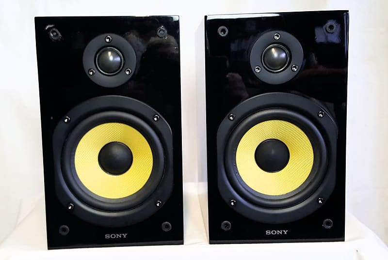 Sony 2024 ss speakers