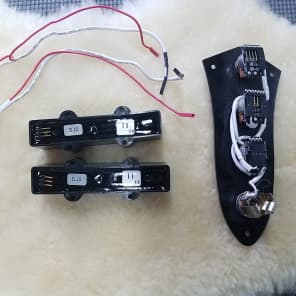 EMG J System Pre-Wired Bass Pickup System, Jazz Bass