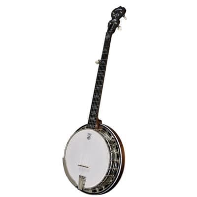 Deering Sierra 5 String Banjo image 2