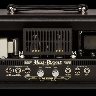 Mesa/Boogie Dual Recto-Verb 25 Head image 2