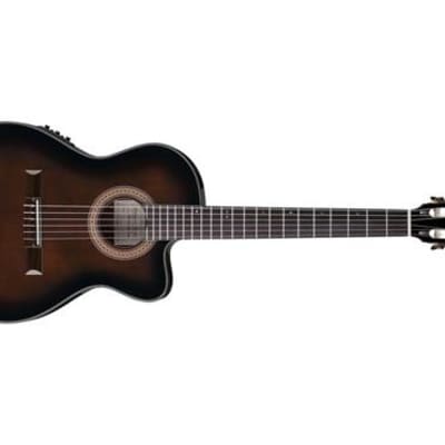 Ibanez GA35TCEDVS Thinline 6 String RH Classical Acoustic Electric