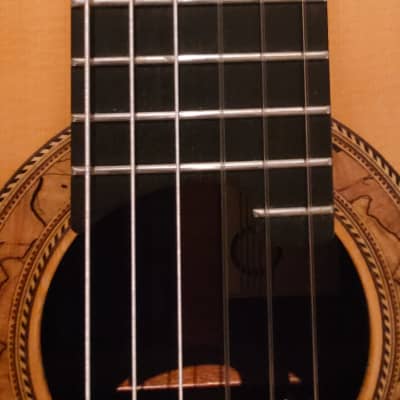 Richard Prenkert Concert classical guitar 2014 - french polish image 2