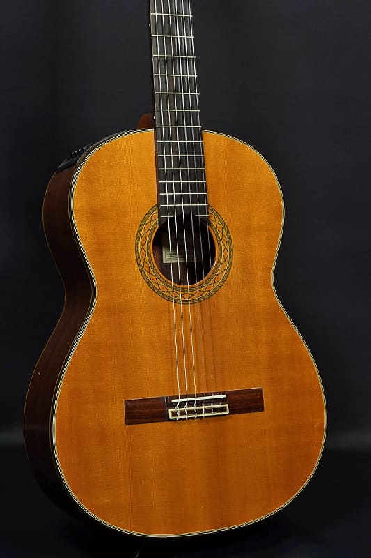 Takamine Takamine Pt 310 [Sn 34020767] [02/27]