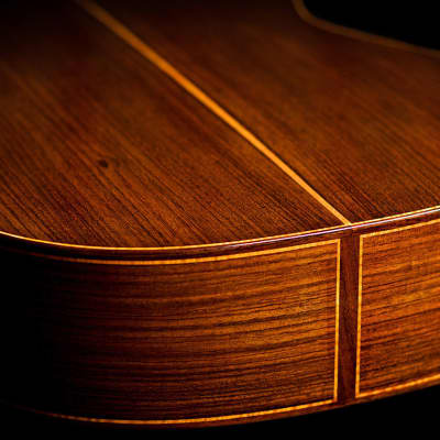 Paula Lazzarini 2022 Classical Guitar Cedar/Indian Rosewood image 5