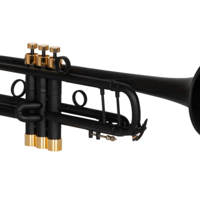 Bach Stradivarius 37 trumpet Customized by KGUbrass image 1