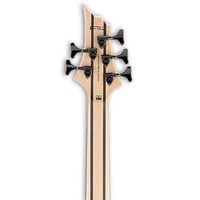 ESP LTD B-205SM 5-String Bass (Used/Mint) image 5