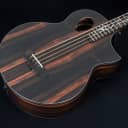 Michael Kelly Dragonfly 4 Port Java Ebony Acoustic Bass, Macasar Ebony