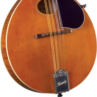 Kentucky KM-272 Deluxe Oval Hole A-Model Mandolin, Transparent Amber w/Soft Case image 1