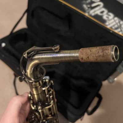 Sakkusu “Vintage” Alto 2023 - Vintage brass image 5