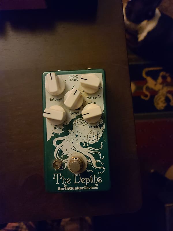 EarthQuaker Devices The Depths