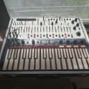 Buchla Music Easel 2010s - Silver